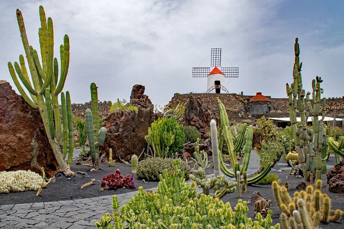 Сад кактусов Сесара Манрике на Лансароте