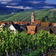 Риквир — сказка на «винной» дороге Эльзаса