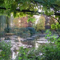 Сад Клода Моне в Живерни. Вдохновение великого художника.